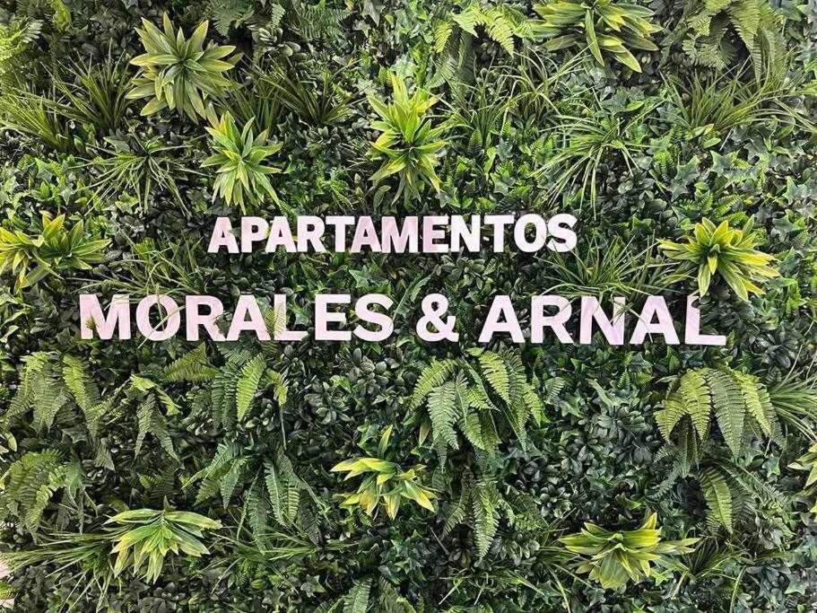 XVIII B Suite Apartamentos Morales & Arnal Ронда Экстерьер фото